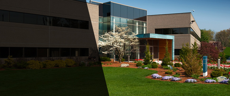 Cynthiana Landscapers