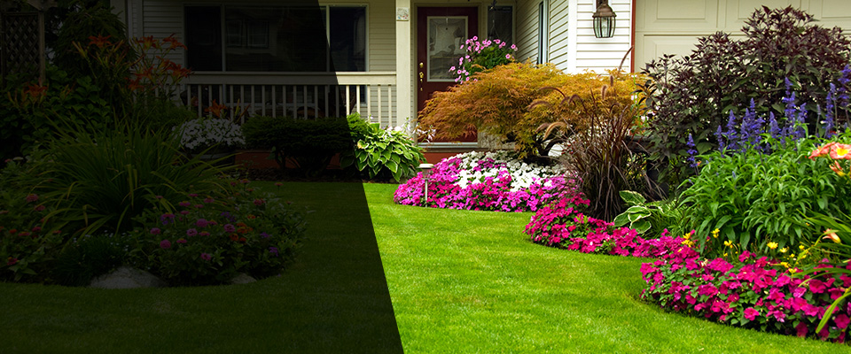 Cynthiana Landscapers